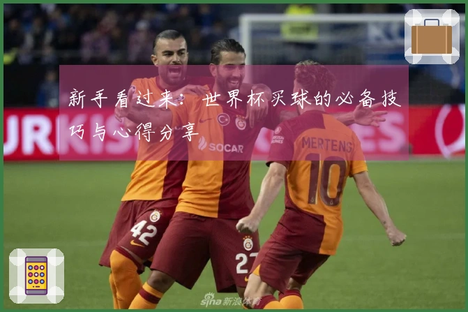 新手看过来：世界杯买球的必备技巧与心得分享