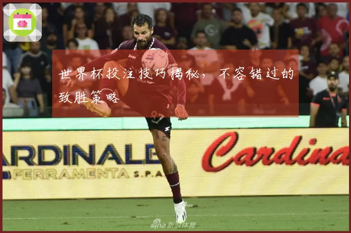 世界杯投注技巧揭秘，不容错过的致胜策略