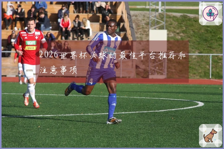 2026世界杯买球的最佳平台推荐和注意事项