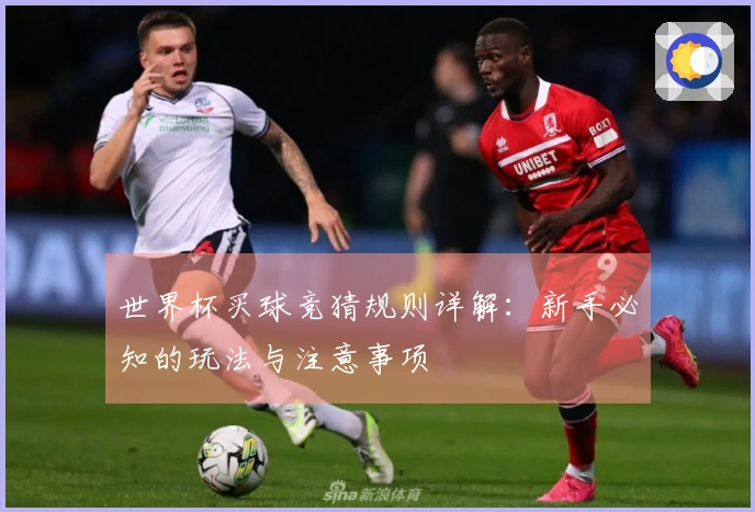 世界杯买球竞猜规则详解：新手必知的玩法与注意事项