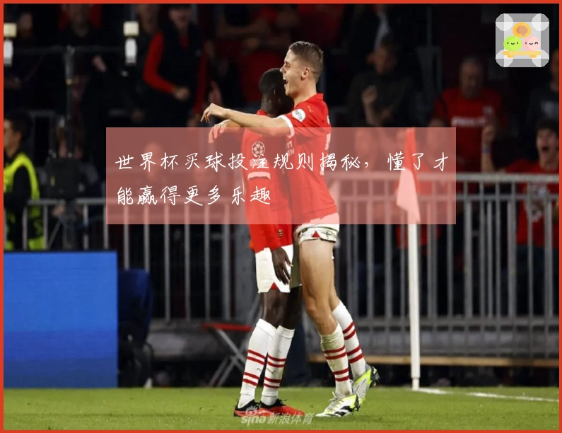世界杯买球投注规则揭秘，懂了才能赢得更多乐趣