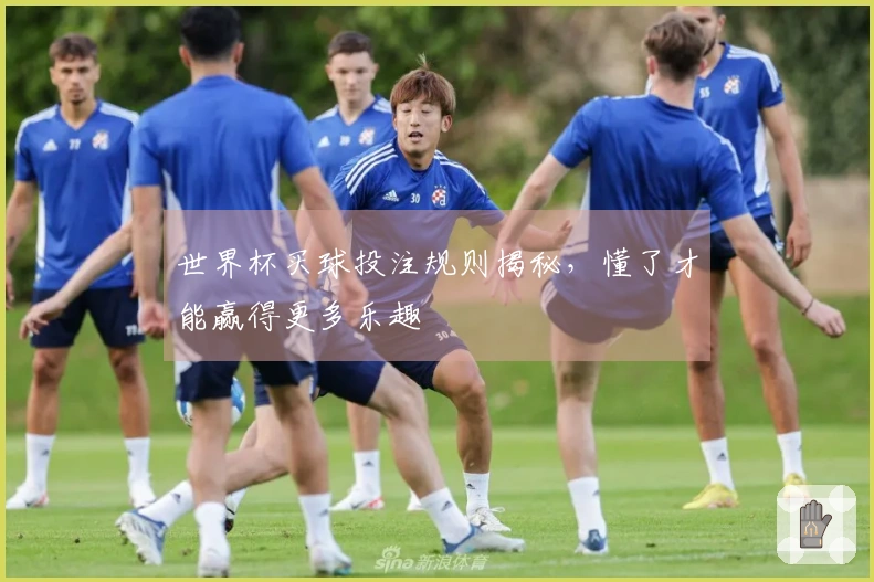 世界杯买球投注规则揭秘，懂了才能赢得更多乐趣