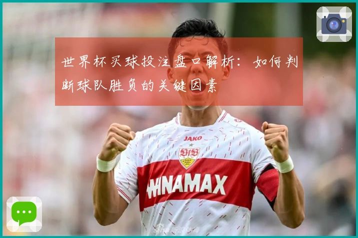 世界杯买球投注盘口解析：如何判断球队胜负的关键因素