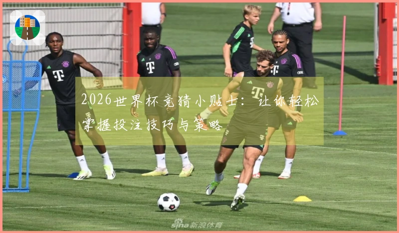 2026世界杯竞猜小贴士：让你轻松掌握投注技巧与策略