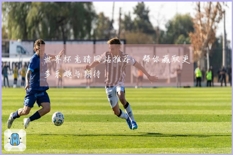 世界杯竞猜网站推荐，帮你赢取更多乐趣与期待