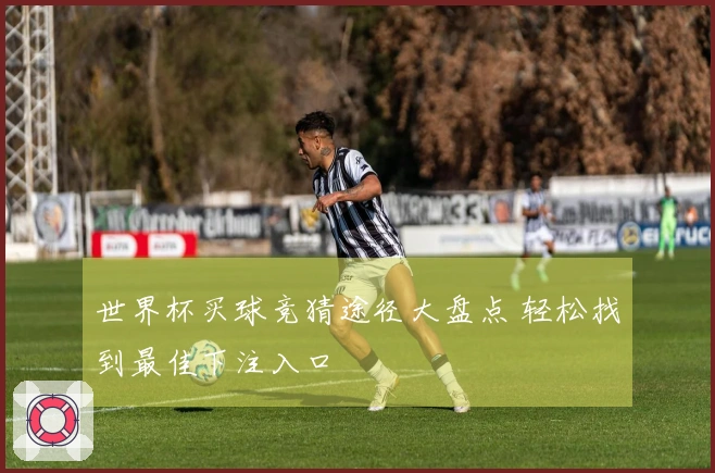 世界杯买球竞猜途径大盘点 轻松找到最佳下注入口