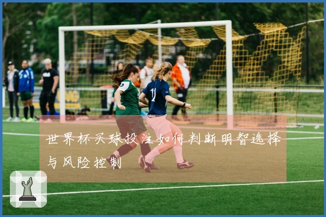 世界杯买球投注如何判断明智选择与风险控制